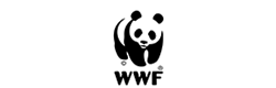 WWF WWF